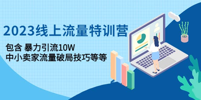 2023线上流量特训营：中小卖家流量破局技巧等等_网创掘金