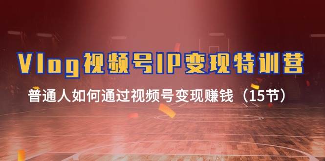 Vlog 视频号IP变现特训营，普通人如何通过视频号变现赚钱（15节）_网创掘金
