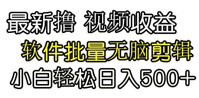 发视频撸收益，软件无脑批量剪辑，第一天发第二天就有钱_网创掘金