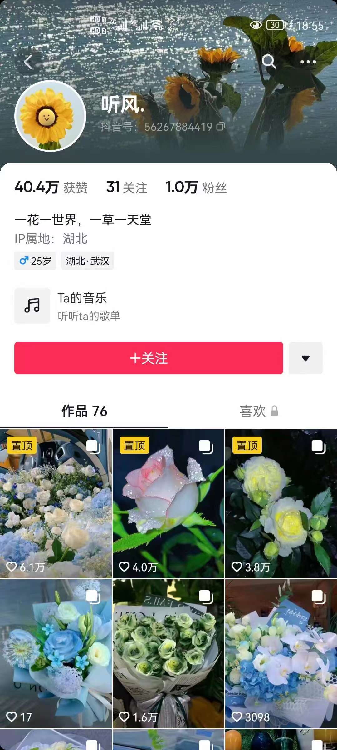 图片[2]_抖音壁纸变现项目：实战日入380+发布壁纸素材获取收益！_网创掘金
