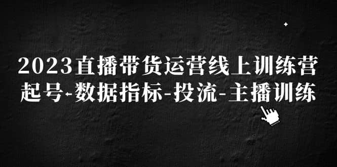2023直播带货运营线上训练营，起号-数据指标-投流-主播训练_网创掘金