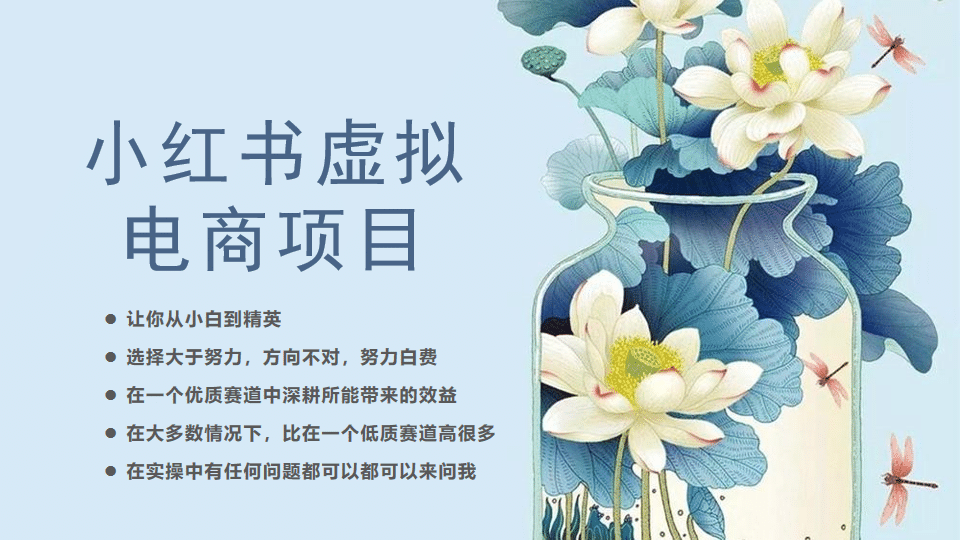 小红书虚拟电商从0到1，让你从小白到精英（20节实操课程）_网创掘金
