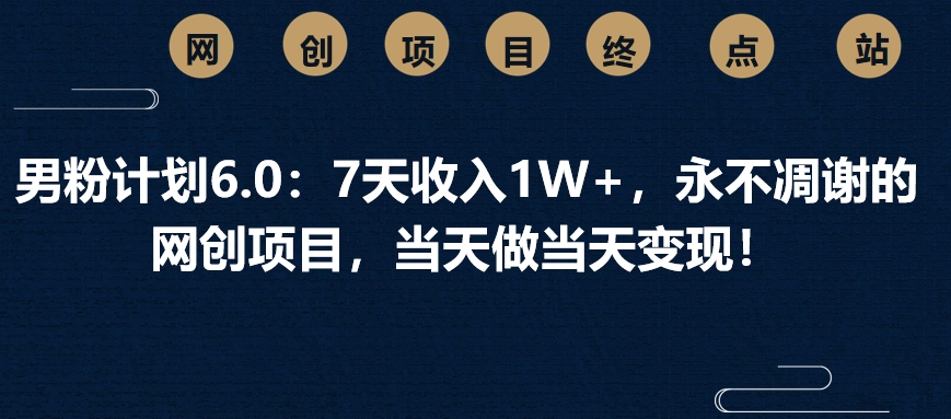 男粉计划6.0：7天收入1W+，永不凋谢的网创项目，当天做当天变现！_网创掘金