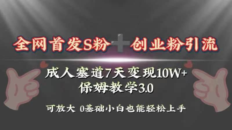 全网首发s粉加创业粉引流变现，成人用品赛道7天变现10w+保姆教学3.0_网创掘金
