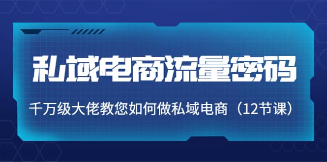 私域电商流量密码：千万级大佬教您如何做私域电商（12节课）_网创掘金