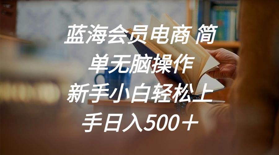 蓝海会员电商 简单无脑操作 新手小白轻松上手日入500＋_网创掘金